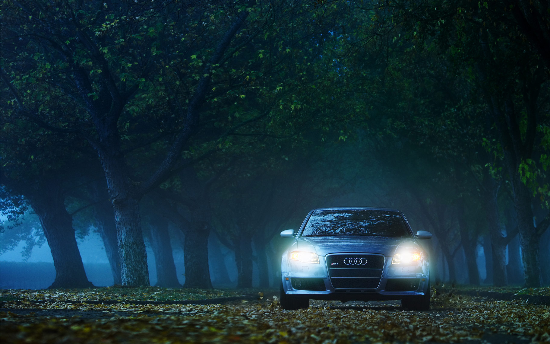 Audi4-0129vr2Strech.jpg