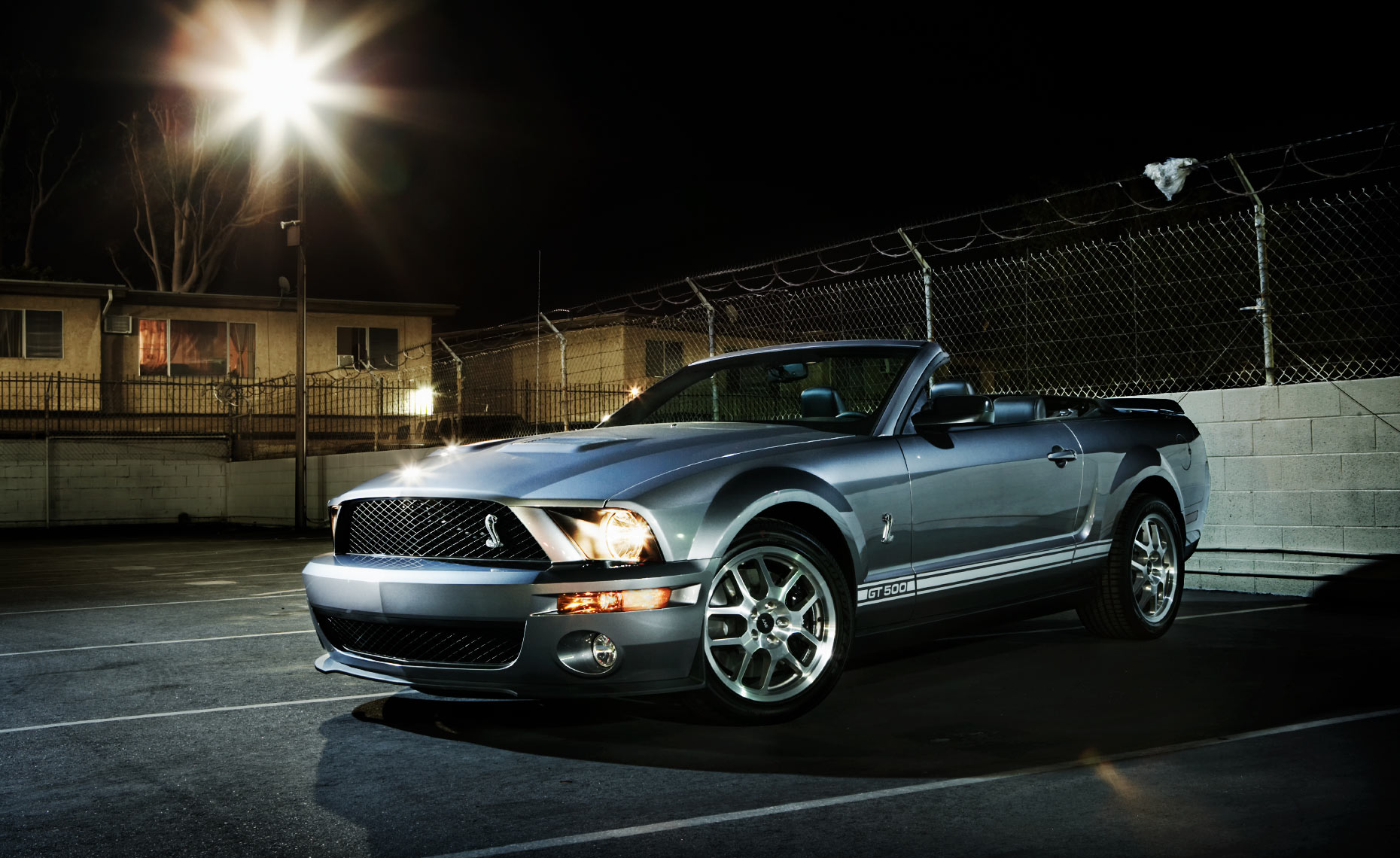 Mustang-0011Blurr.jpg